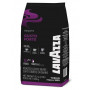 Lavazza Expert Gusto Forte - Kawa ziarnista - opakowanie 1kg